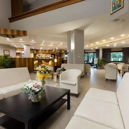 酒店 Du Parc 西尔米奥奈