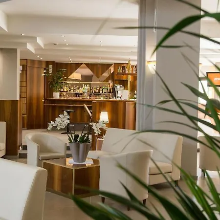 Du Parc 4* 西尔米奥奈