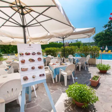 Du Parc 酒店 西尔米奥奈
